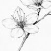 porridge_0